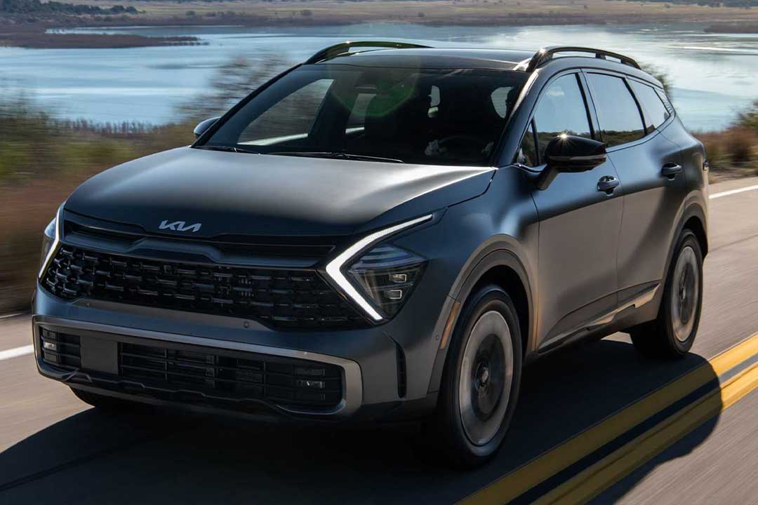 مجمع رنتکاران جزیره کیش